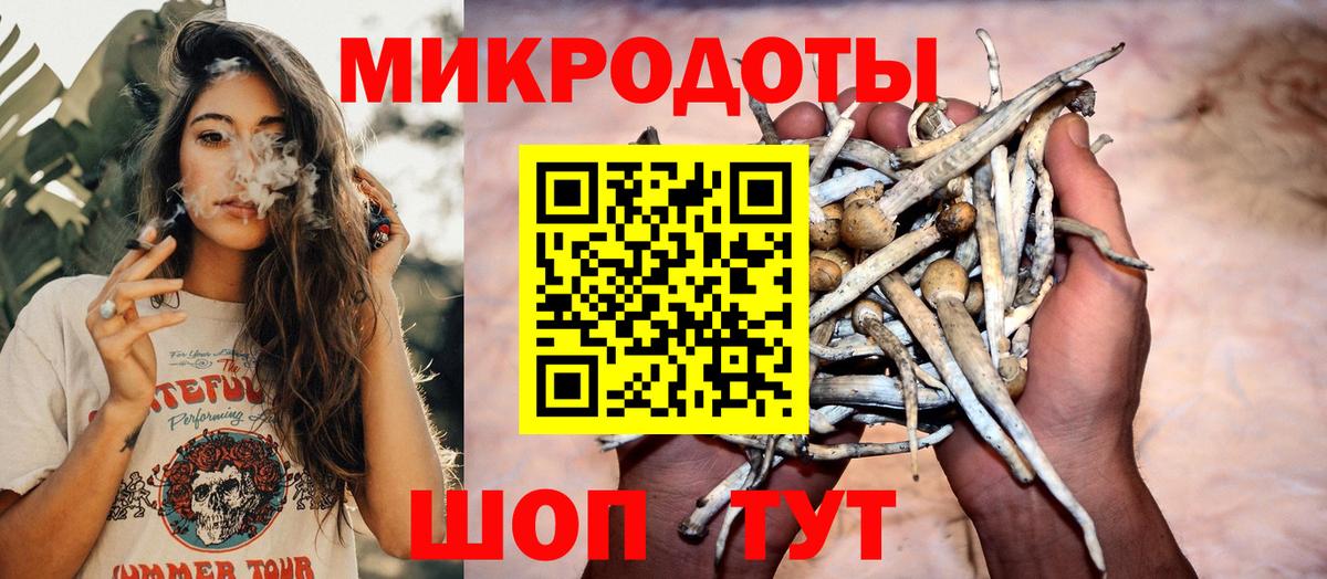 Псилоцибиновые грибы Cubensis Малоярославец